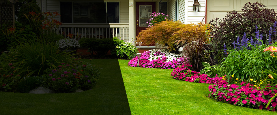Beaver Dam Landscapers